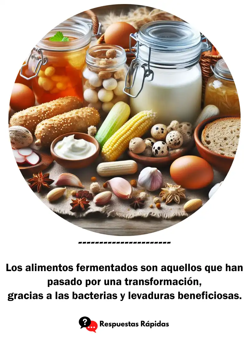 beneficios de los alimentos fermentados
