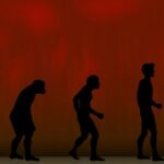 Darwin y la Teoría de la evolución - Explicación detallada